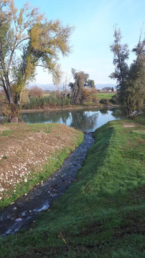 Sulla Ciclabile Apartment Lungo Il Fiume Adige Zevio Exteriér fotografie