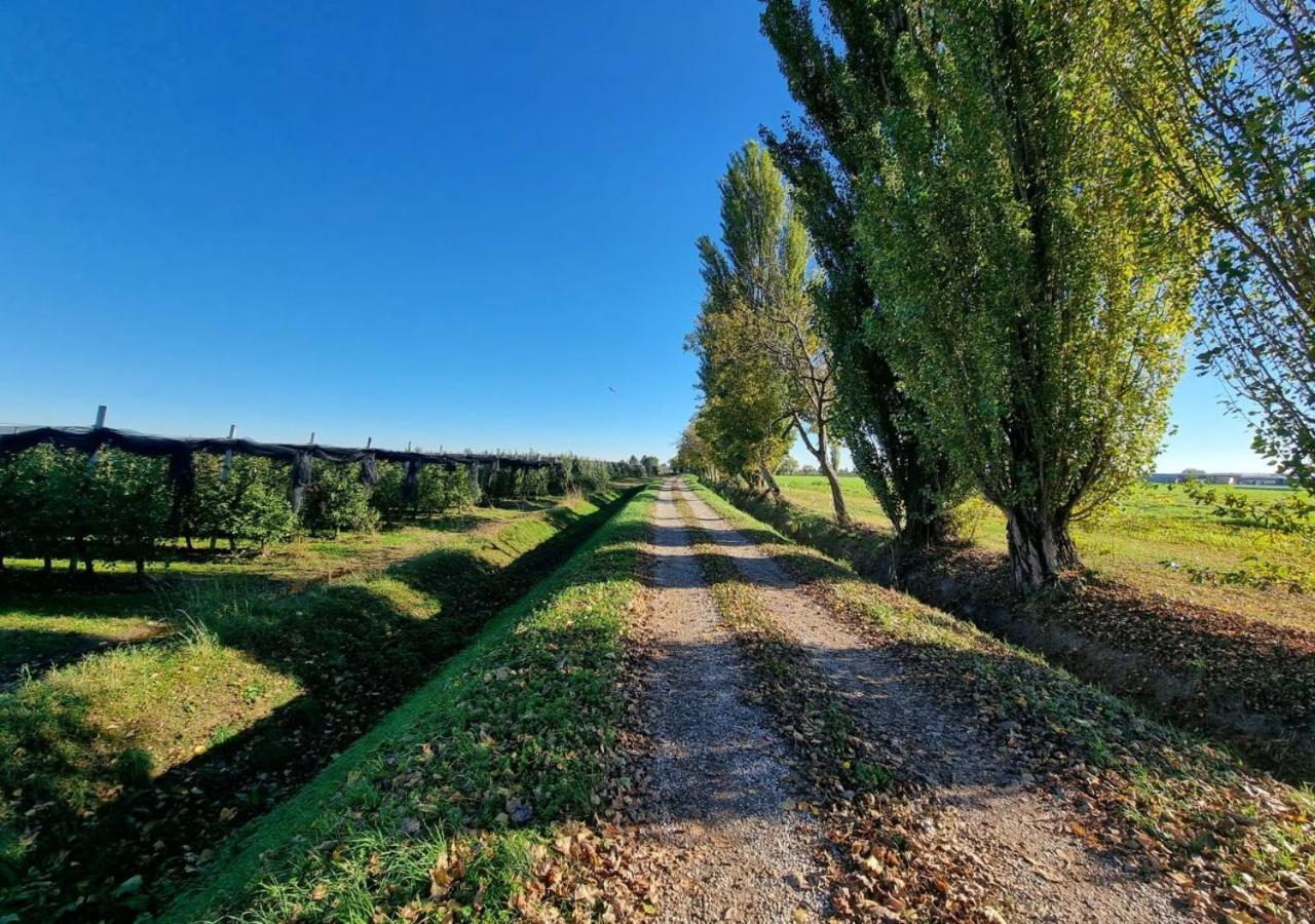 Sulla Ciclabile Apartment Lungo Il Fiume Adige Zevio Exteriér fotografie