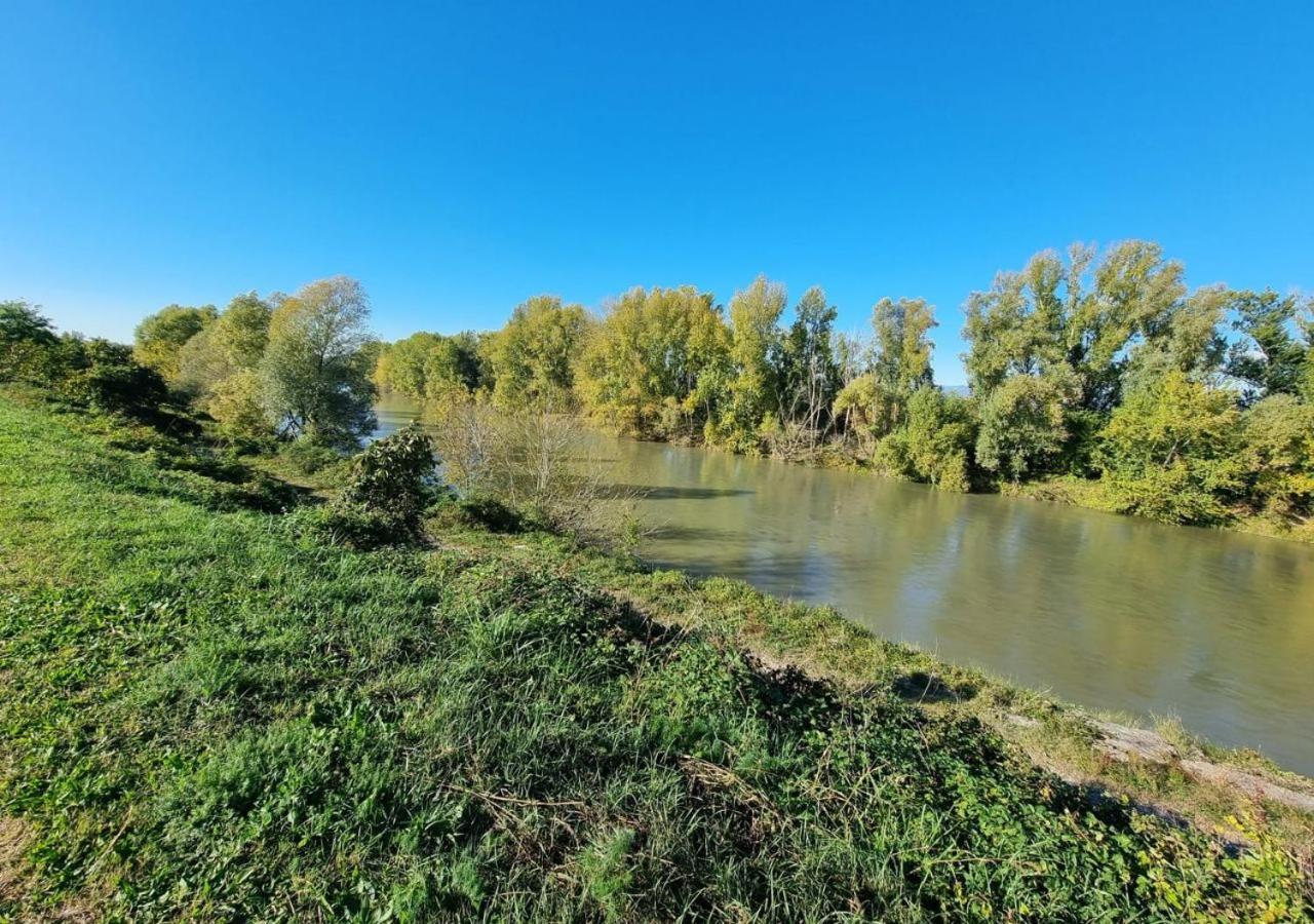 Sulla Ciclabile Apartment Lungo Il Fiume Adige Zevio Exteriér fotografie