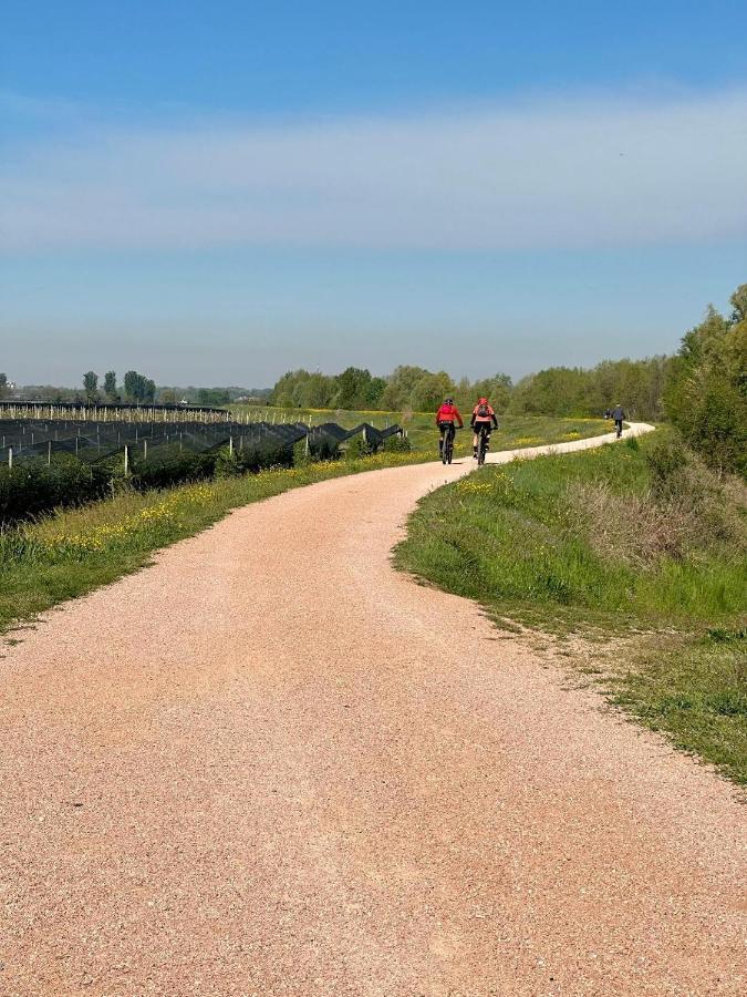Sulla Ciclabile Apartment Lungo Il Fiume Adige Zevio Exteriér fotografie